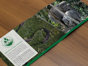 Greenpeace Green Guardians