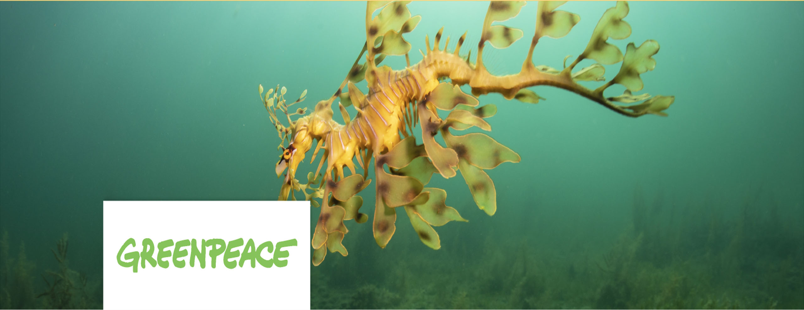 Greenpeace
