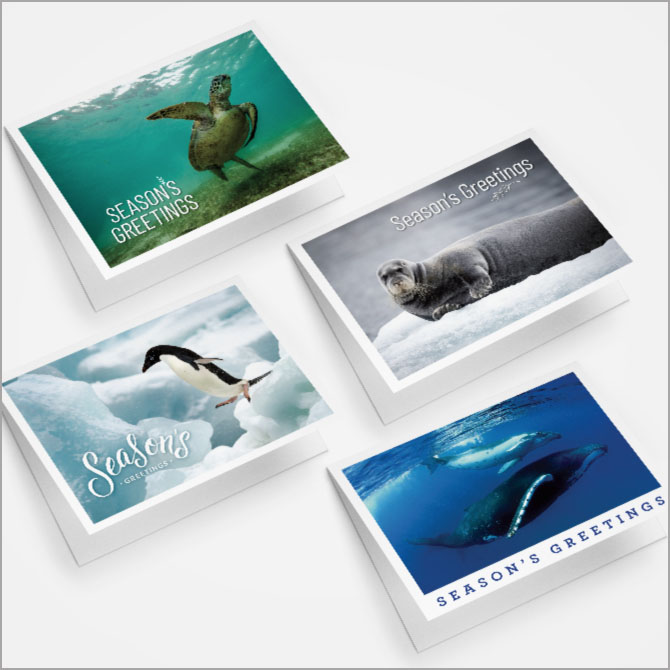 Greenpeace Work Sample