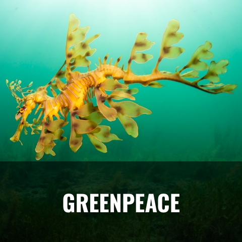 Greenpeace