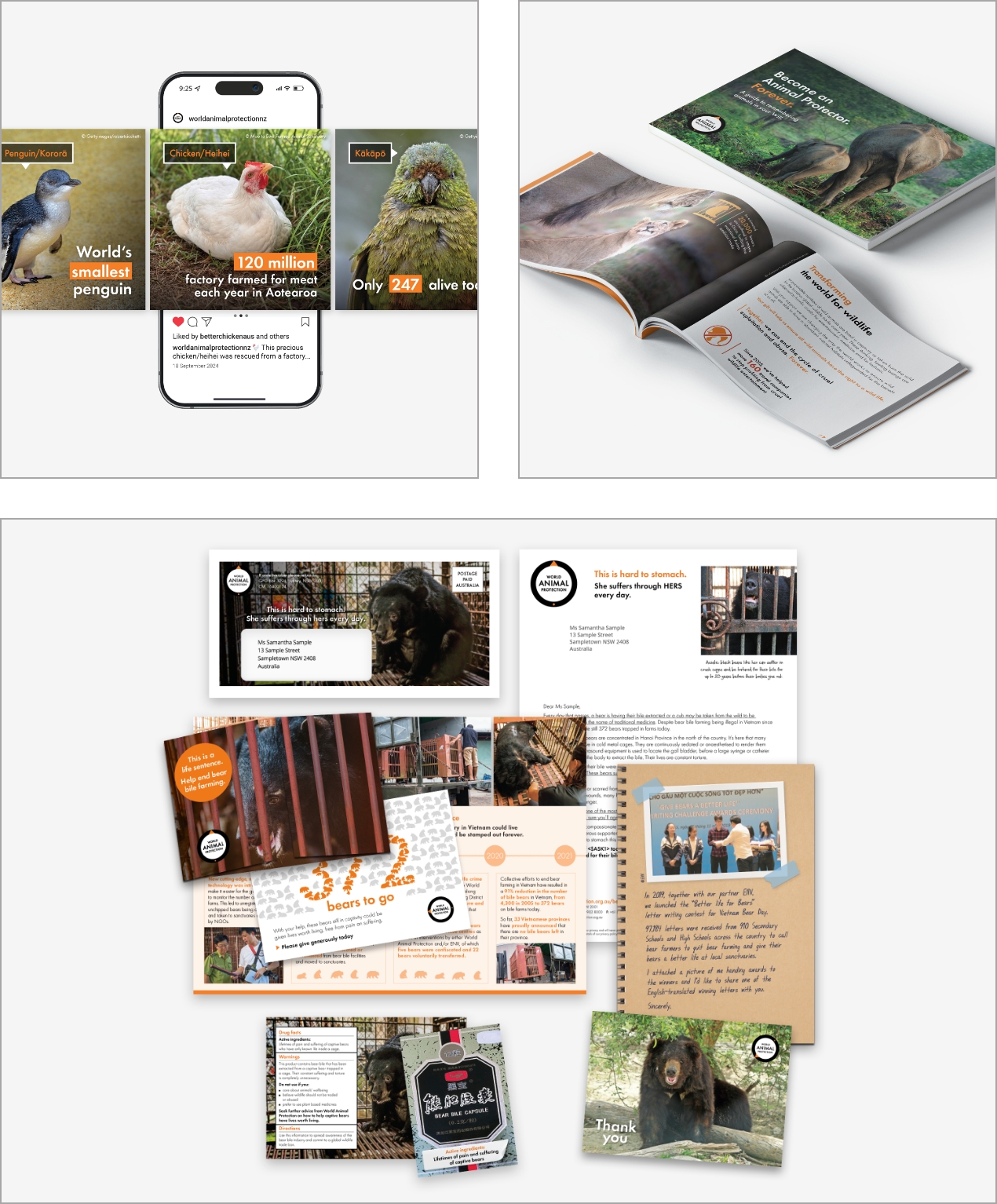 World Animal Protection Work Sample